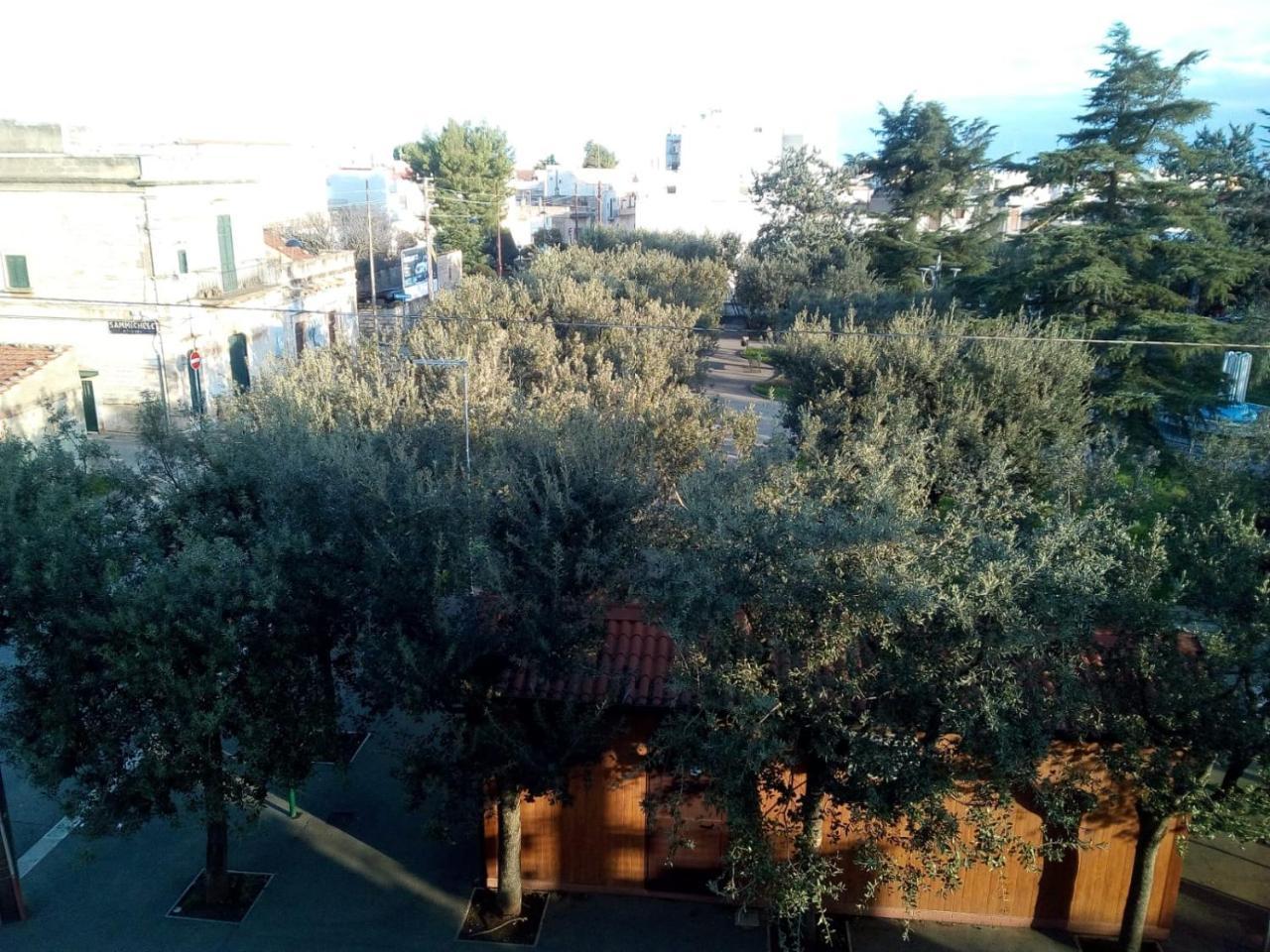 "La Casa Di Mariagrazia" Appartamento 4 Locali Sammichele Di Bari Eksteriør bilde