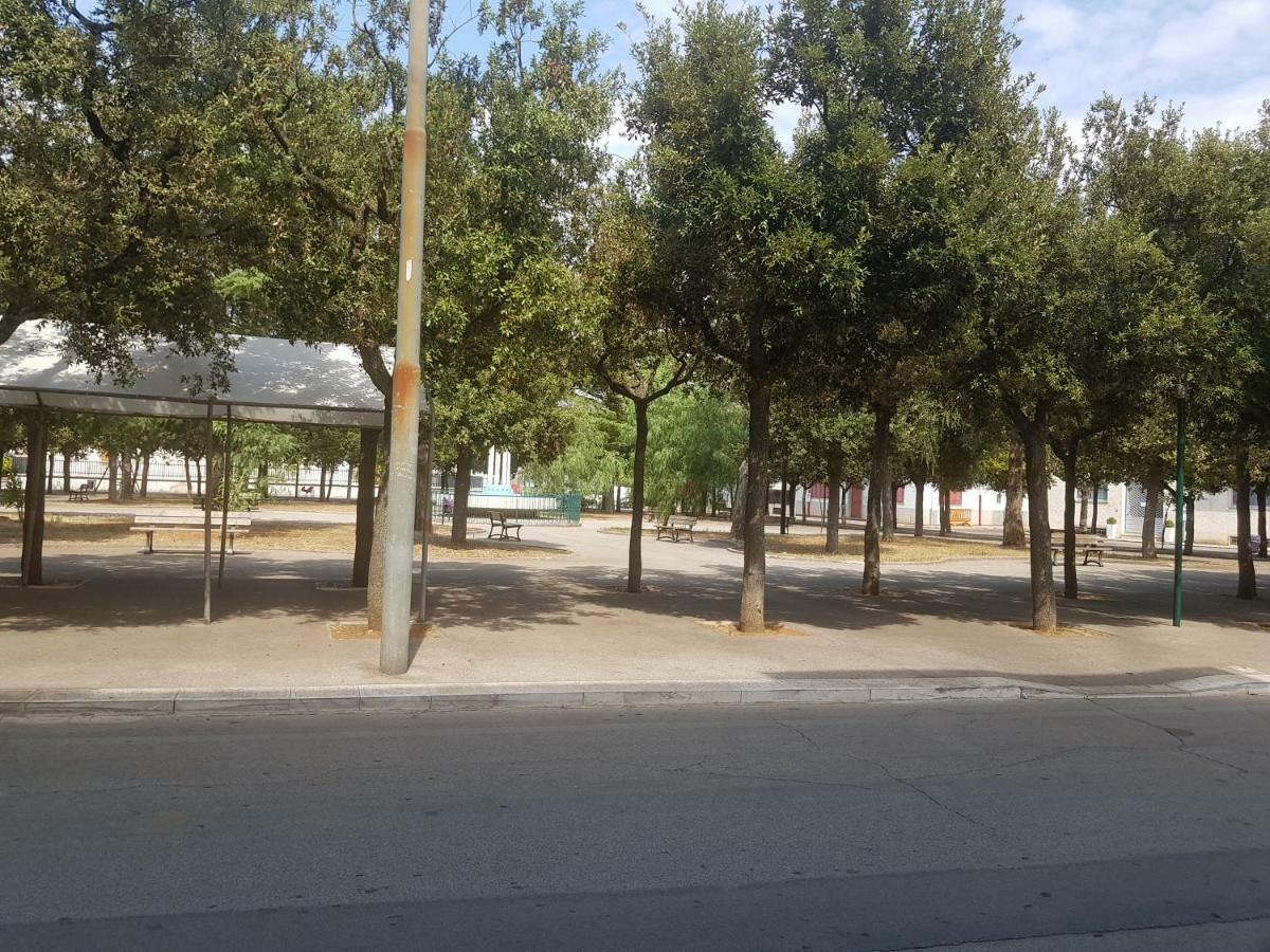 "La Casa Di Mariagrazia" Appartamento 4 Locali Sammichele Di Bari Eksteriør bilde